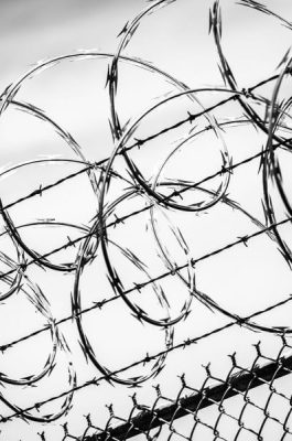 barbed_wire1
