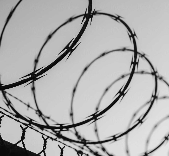 barbed_wire5